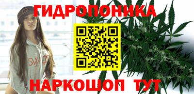 a pvp Малгобек
