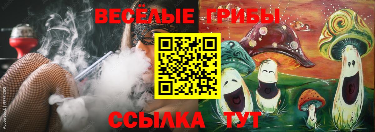 Псилоцибиновые грибы GOLDEN TEACHER Ессентуки